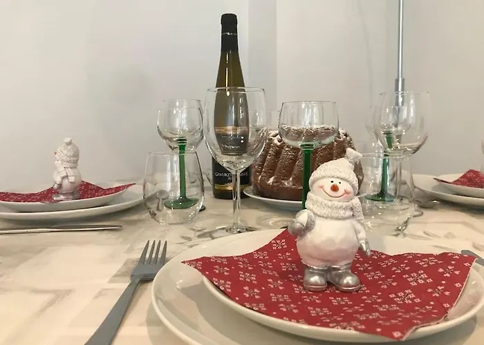 Le Johannes-colmar Centre Historique Apartment