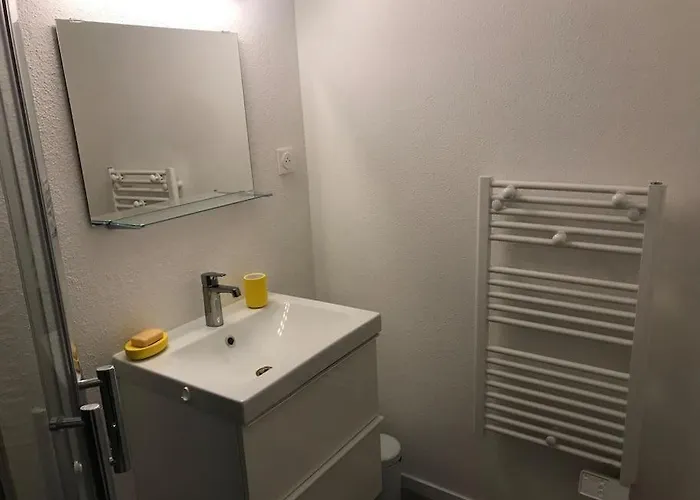 Le Johannes-colmar Centre Historique Apartment Colmar